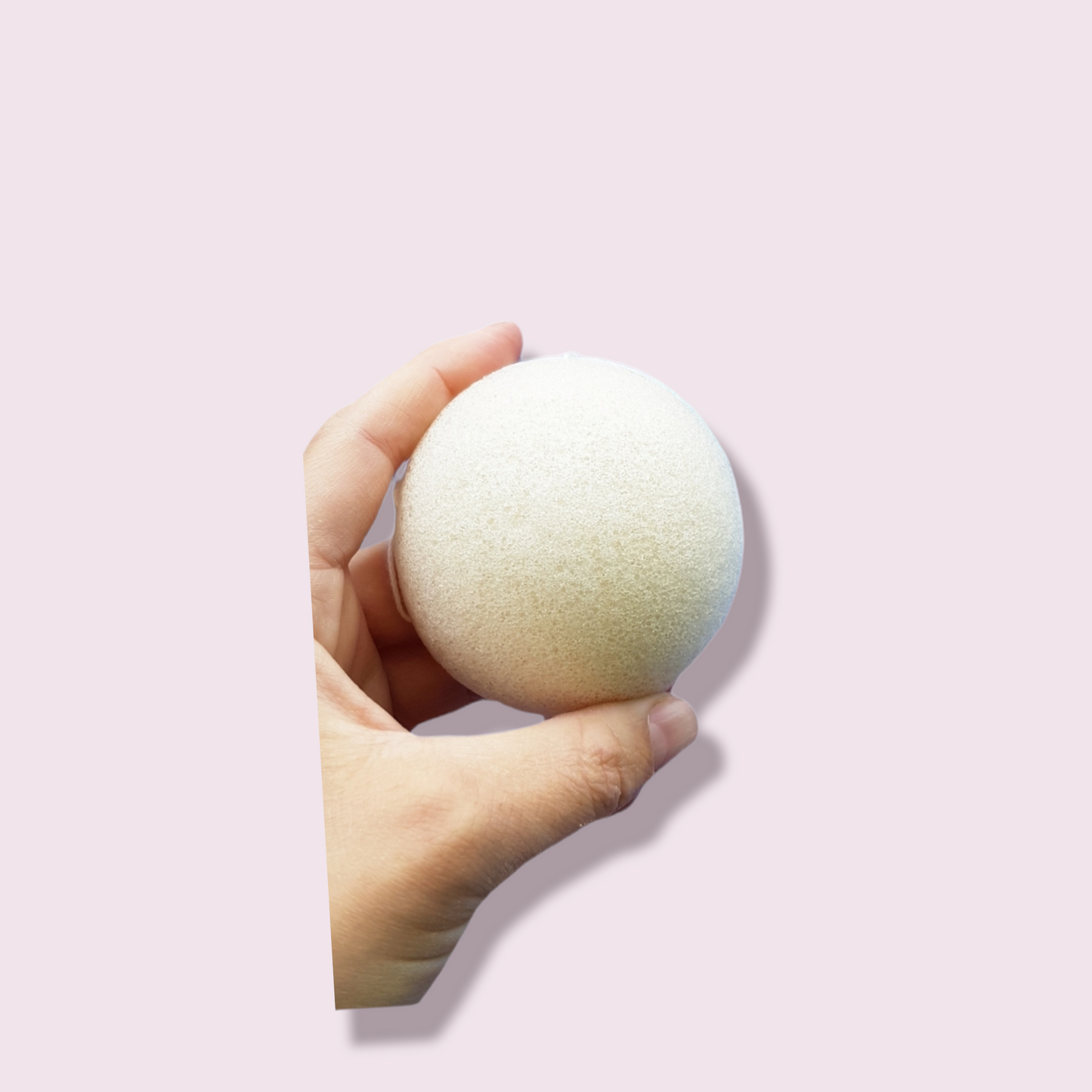 Konjac Sponge