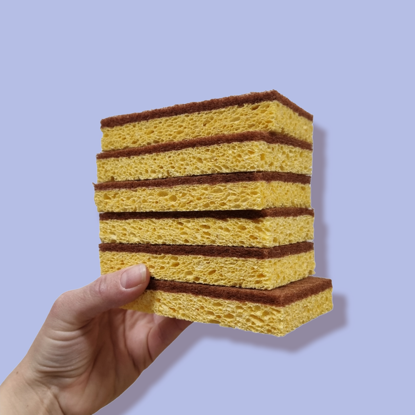 Coconut Cellulose Sponge